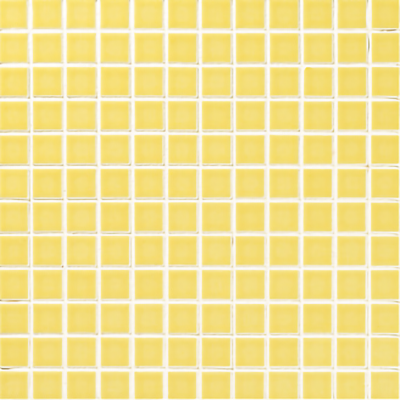 IM-25P1/NY6H*
Yellow